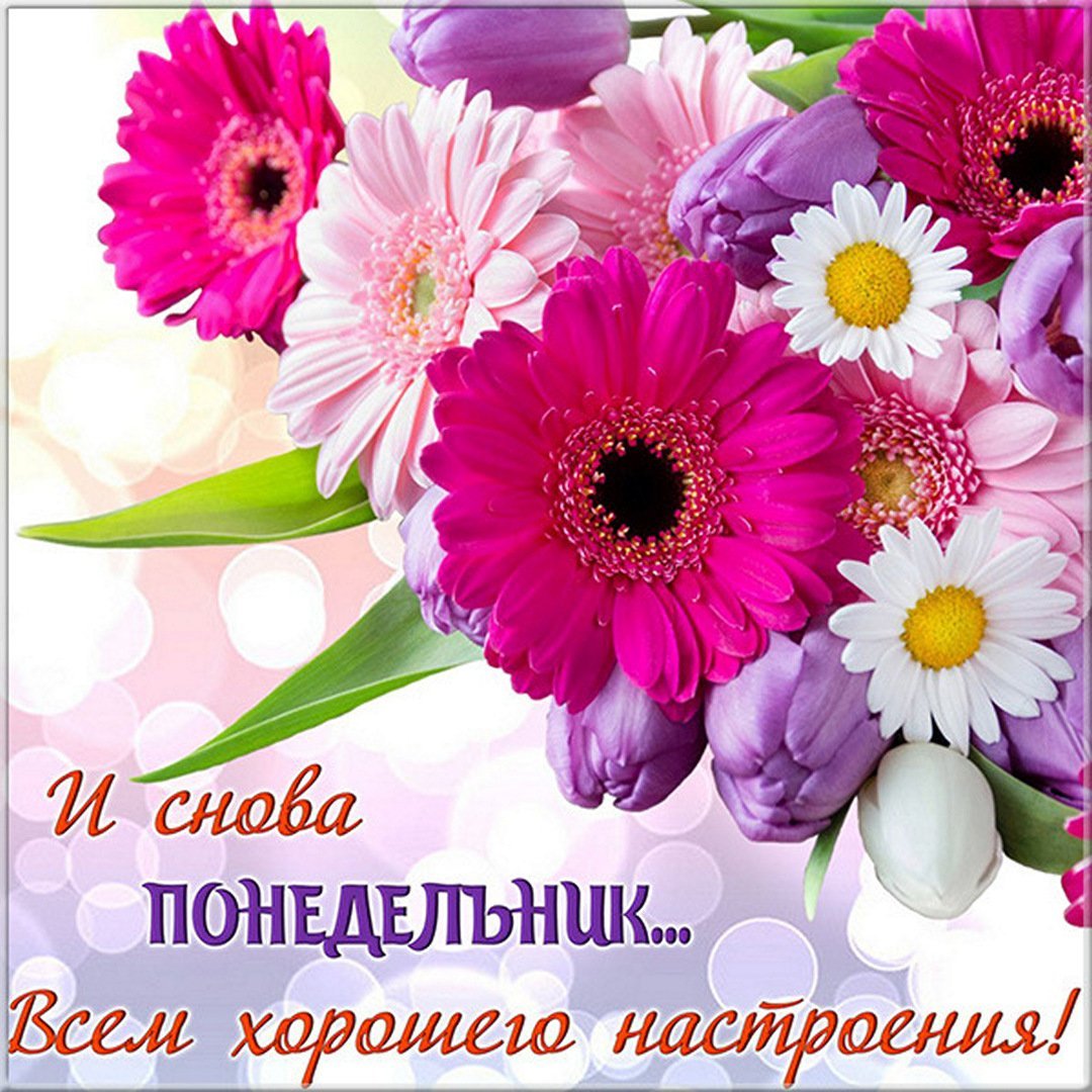 Доброго понедельника