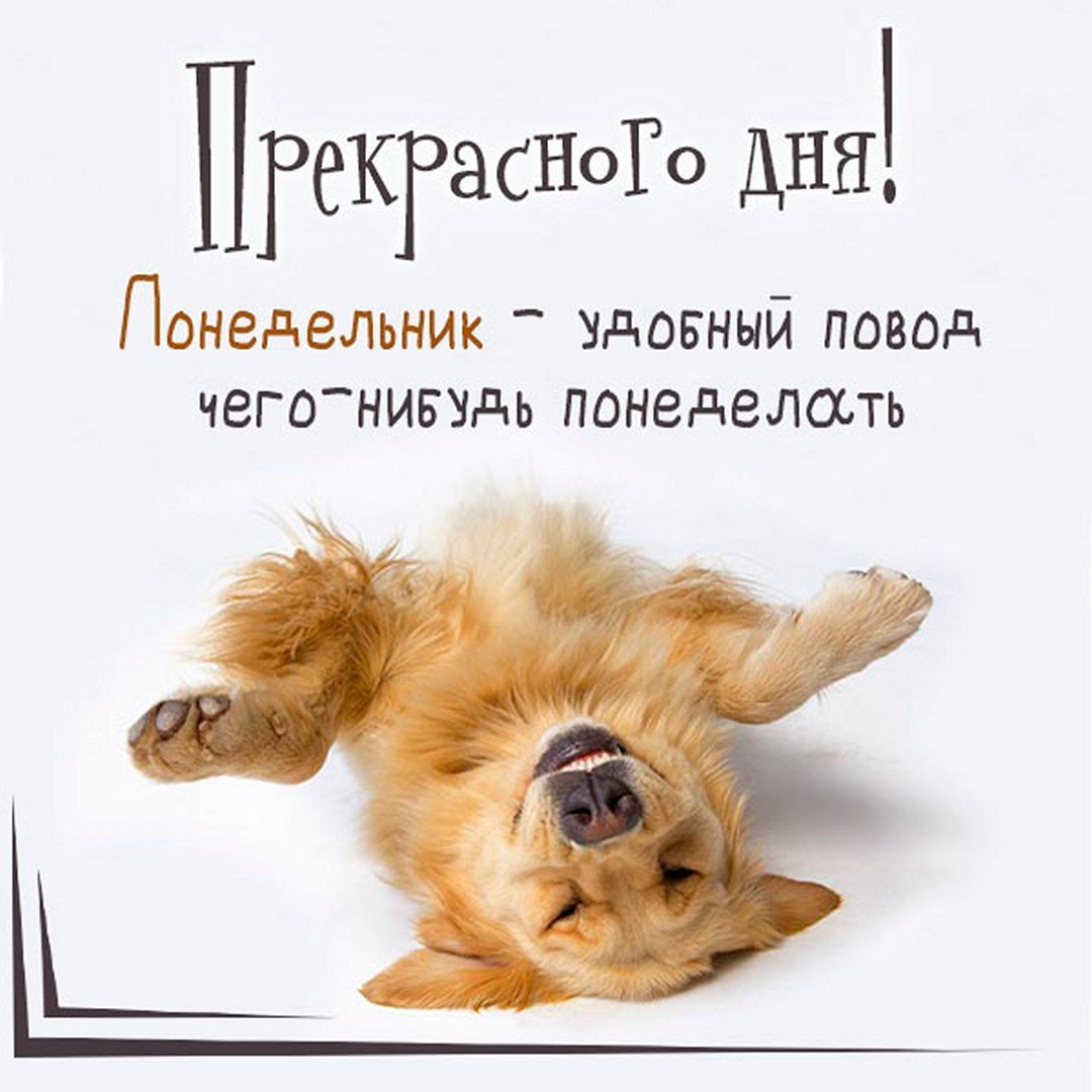 Классного понедельника и удачной недели