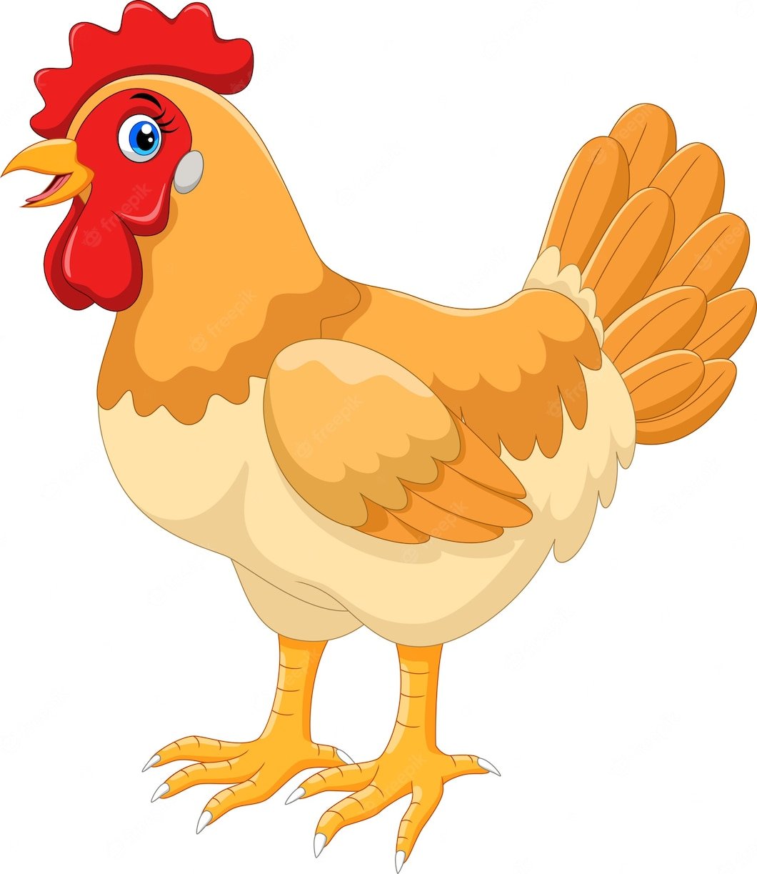 Белые куры клюют зерно