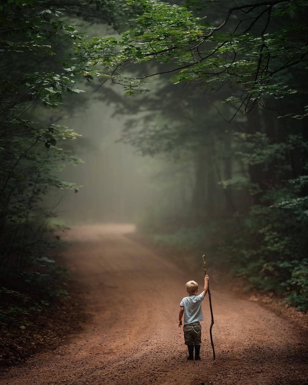 Красивые цитаты