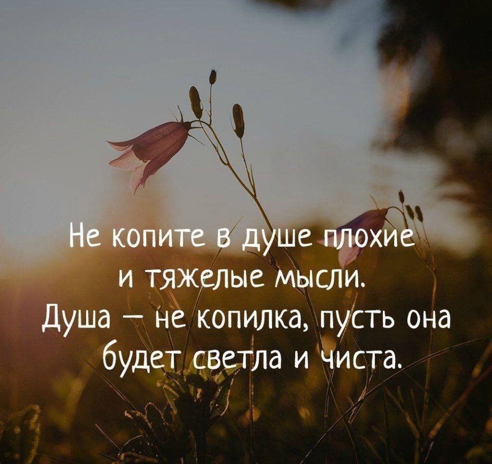 Бабочки в душе