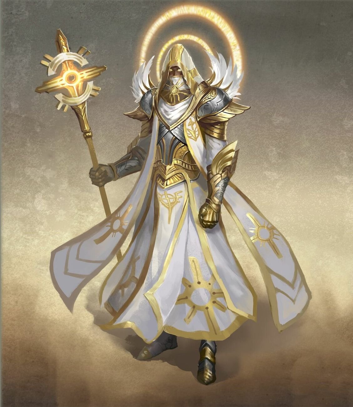 Жрец Паладин Паладин