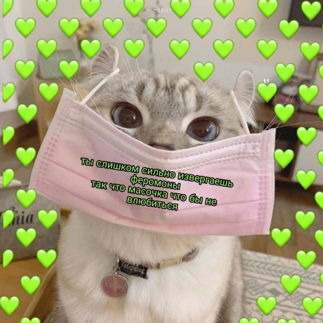 Подарок маме извинение