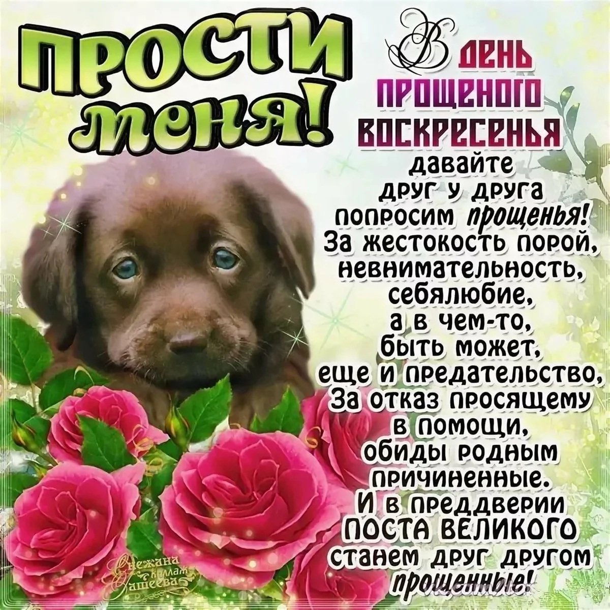 Кот с извинениями