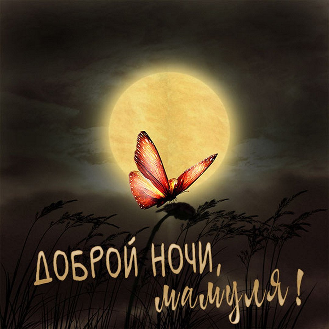Спокойной ночи мамулечка