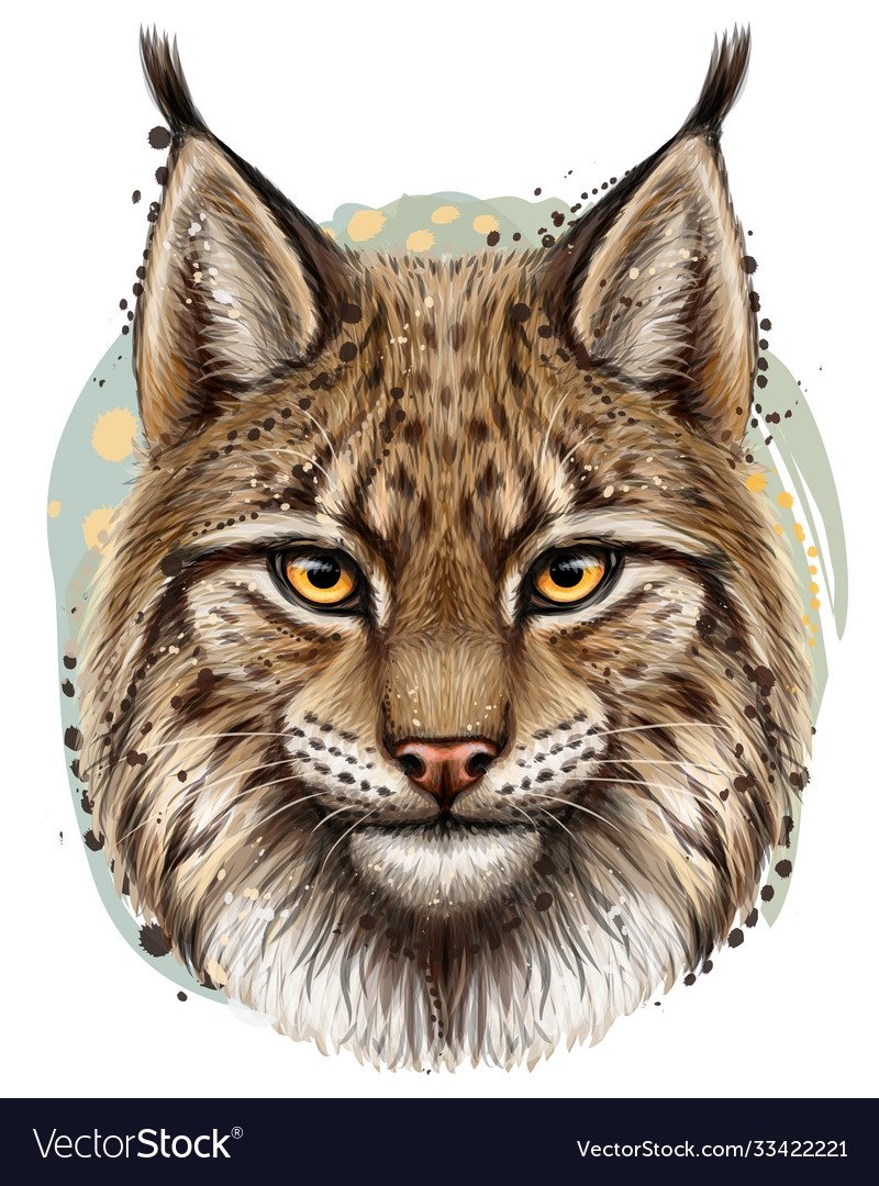 Голова рыси на стене