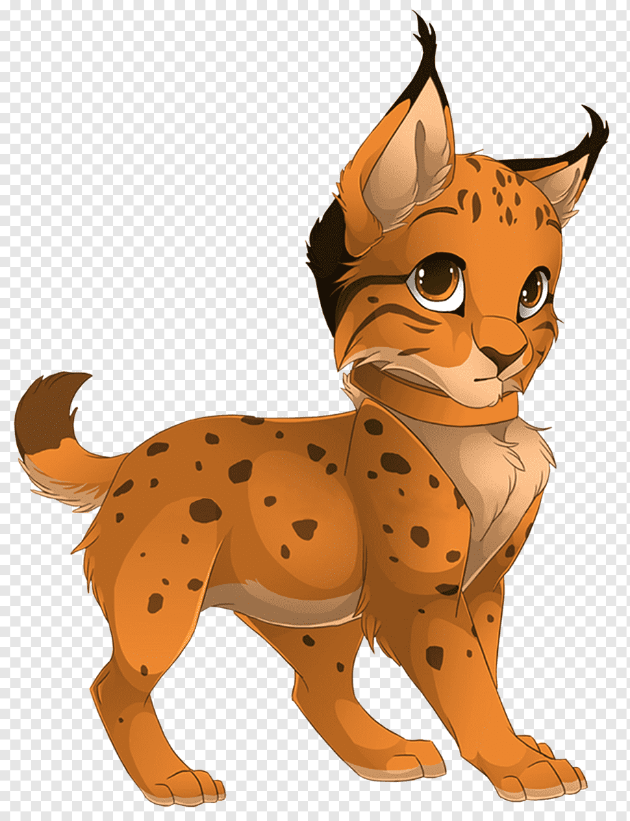 Коты Воители рысёнок