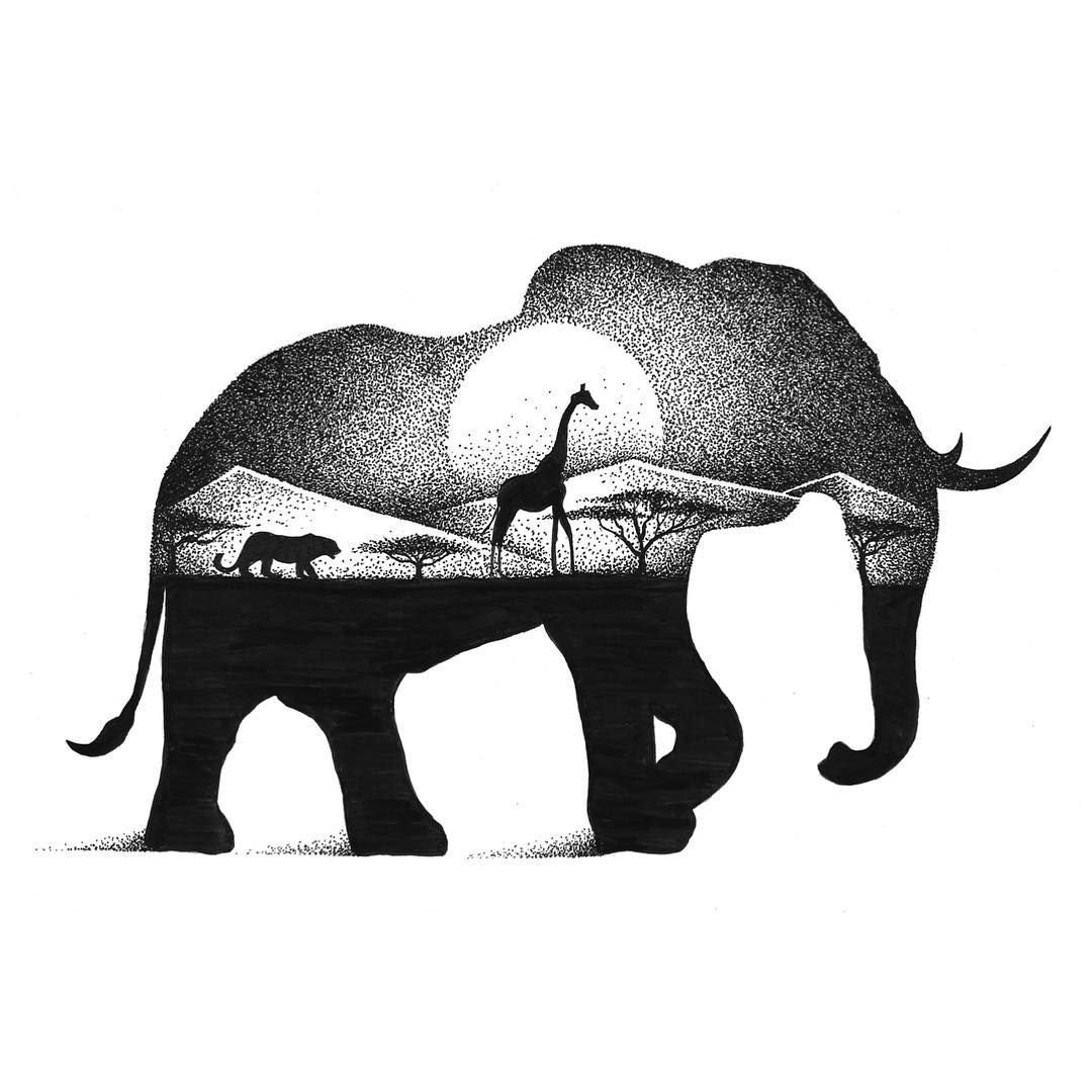 Тьяго Бьянкини слон