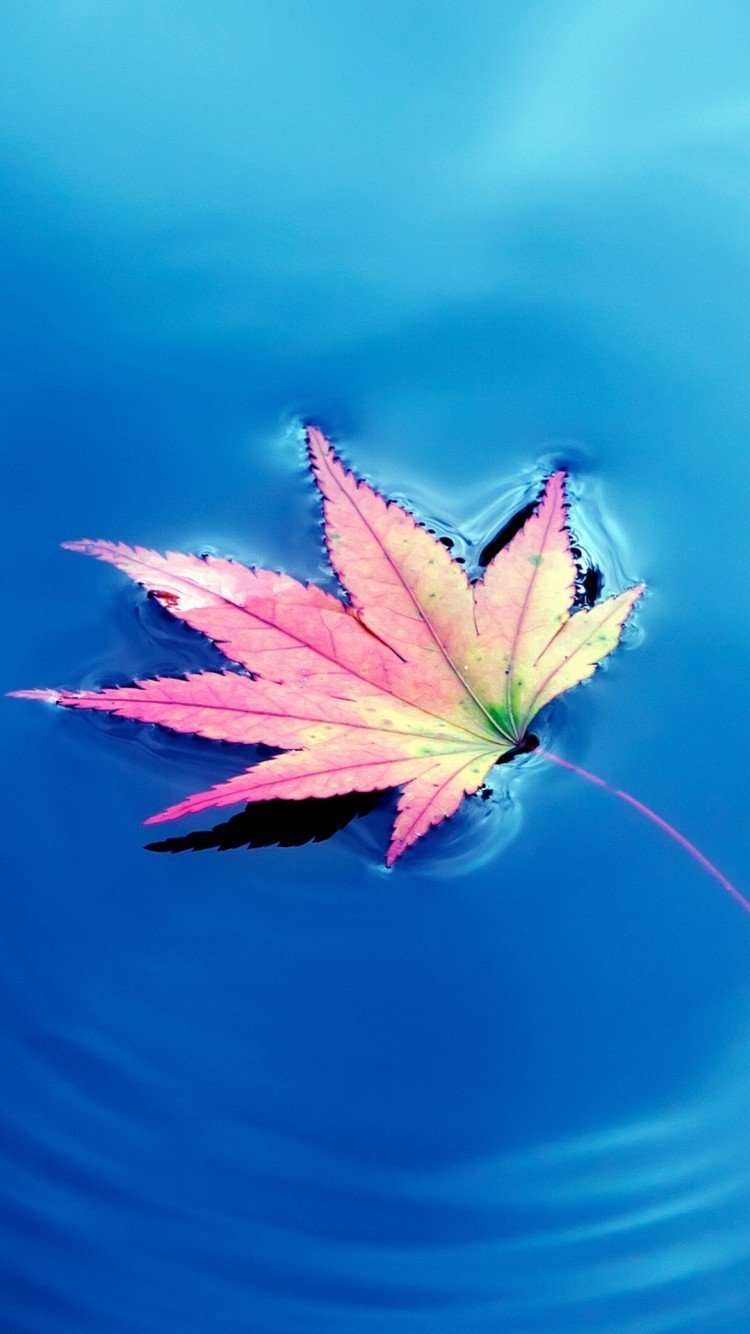 Обои самсунг галакси