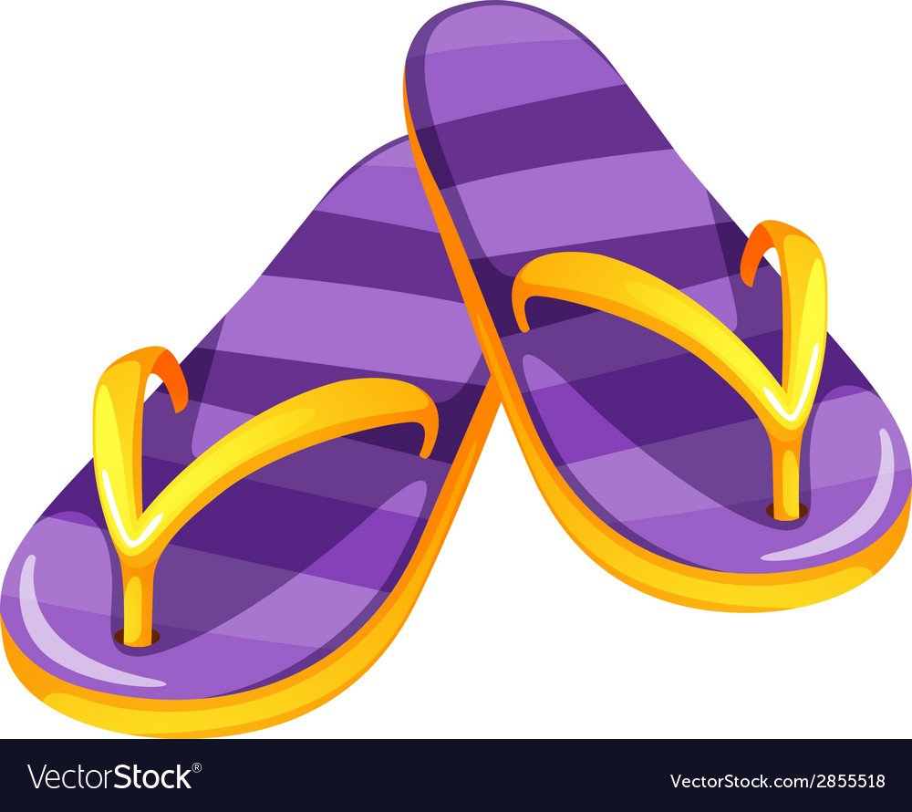 Шлепанцы на белом фоне