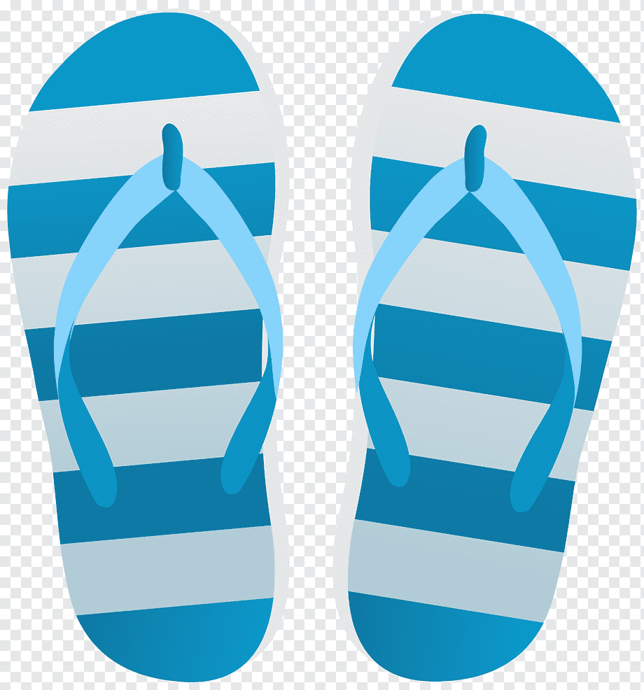 Шлепанцы Aqua Flip Flip Flops