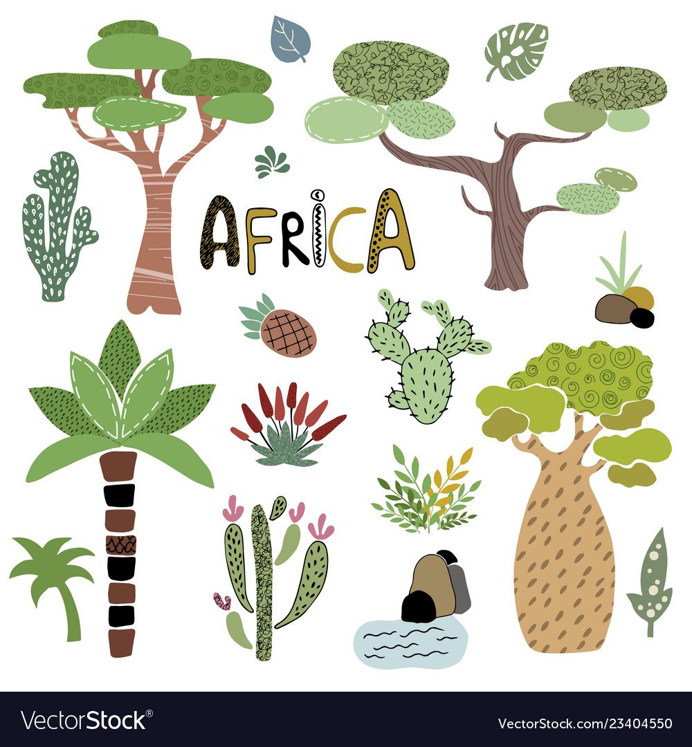 Африканские растения вектор