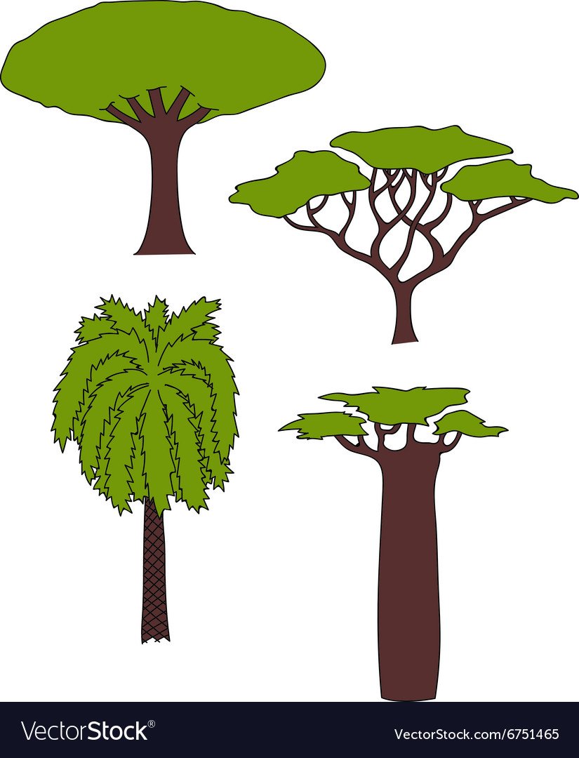 Деревья Африку для дошкольников