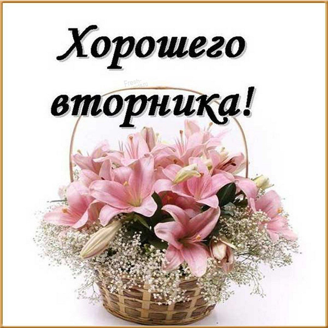 Поздравления со вторником