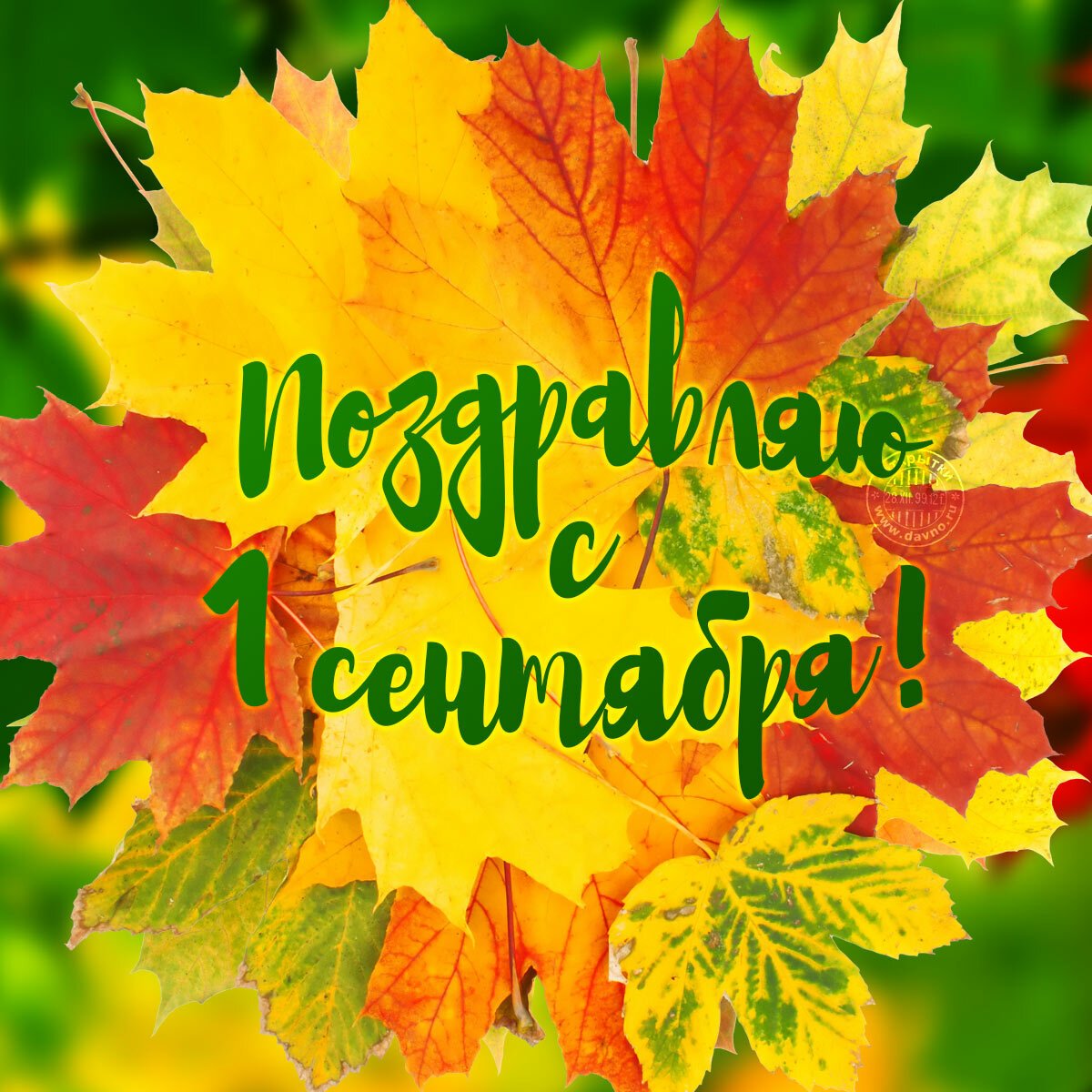 С новым учебным годом