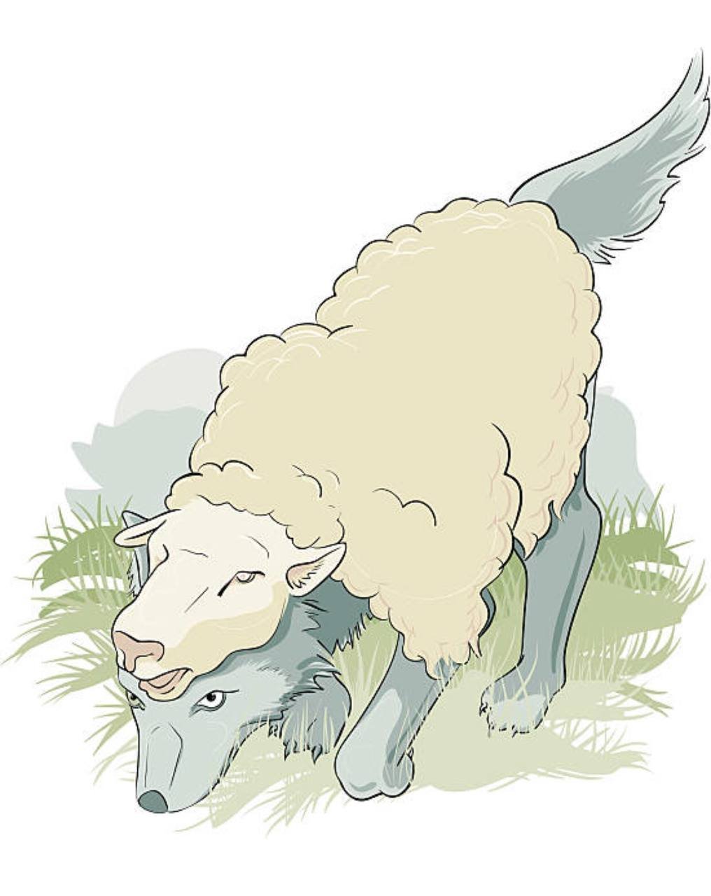 Волк в овечьей шкуре вектор