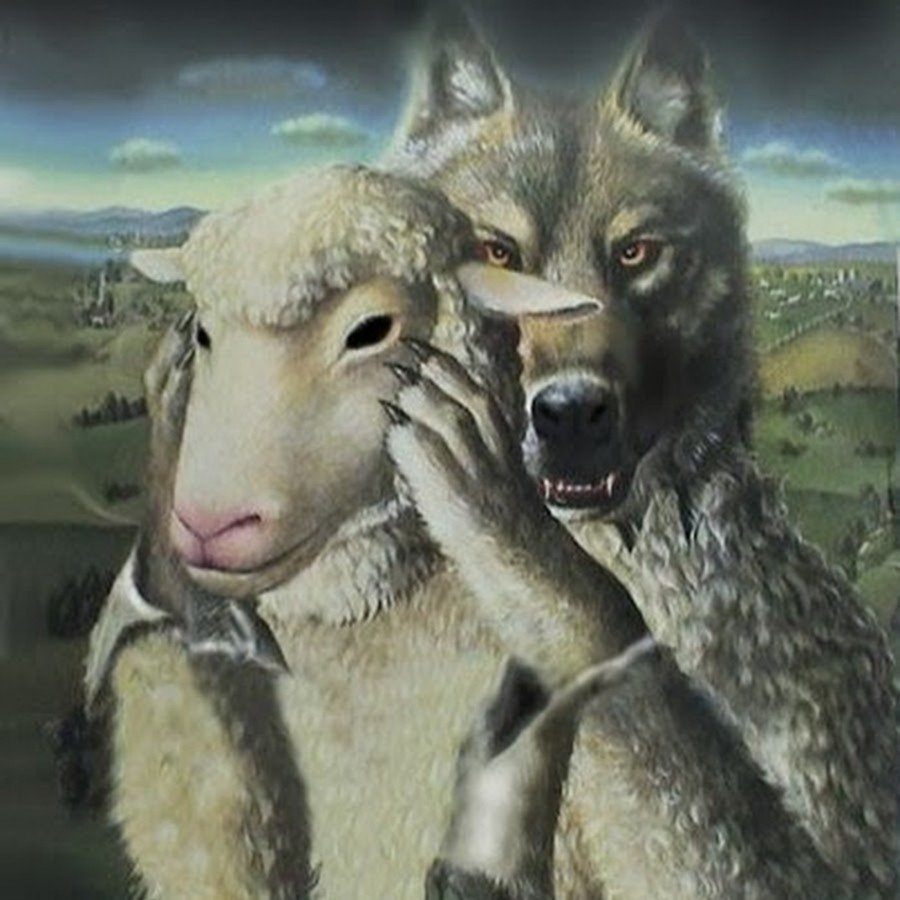 Волк в овечьей шкуре прикол