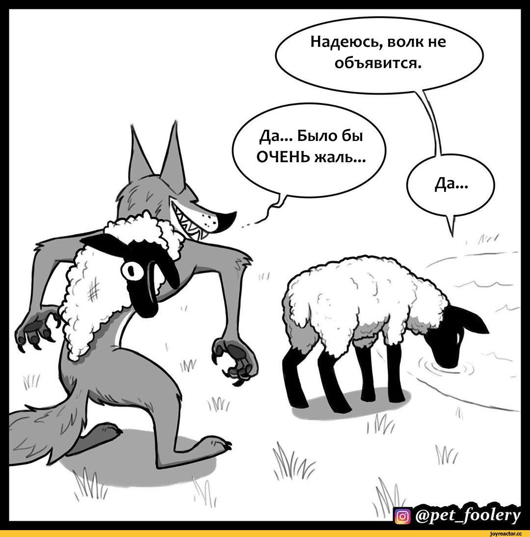 Волки и овцы комикс