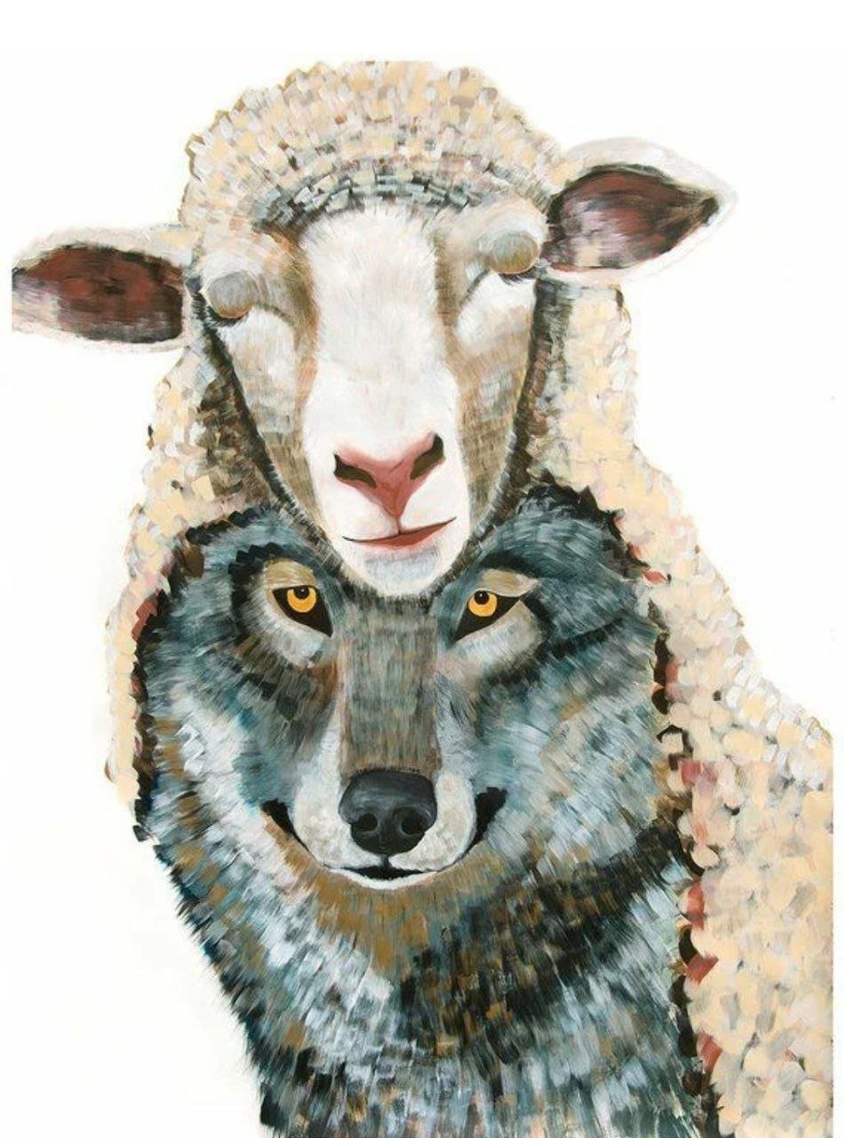 Овца в волчьей шкуре