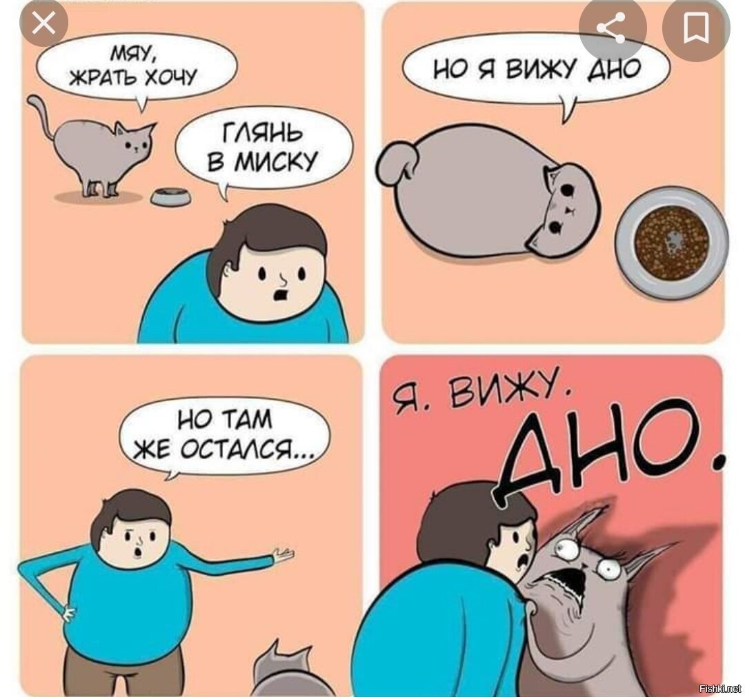 Беспощадная логика котов