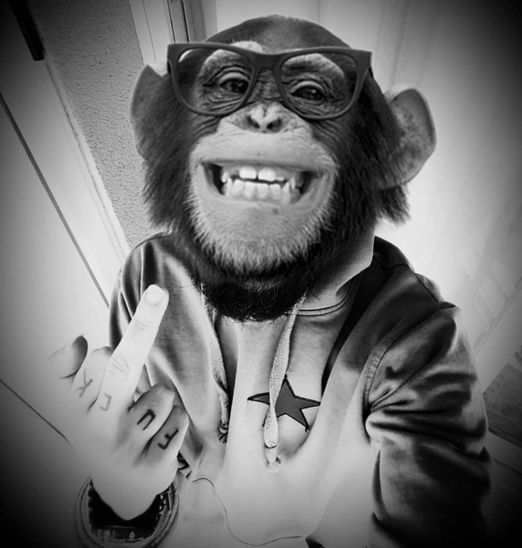 Мартышка орет мультяшка