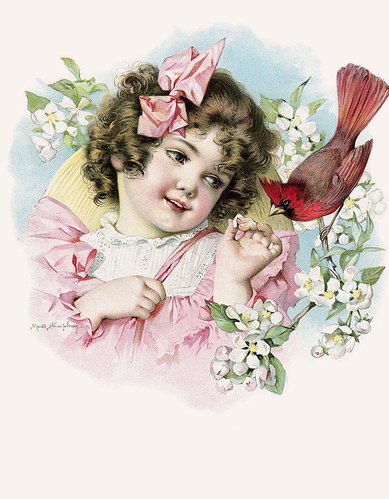 Коллекция старинных открыток