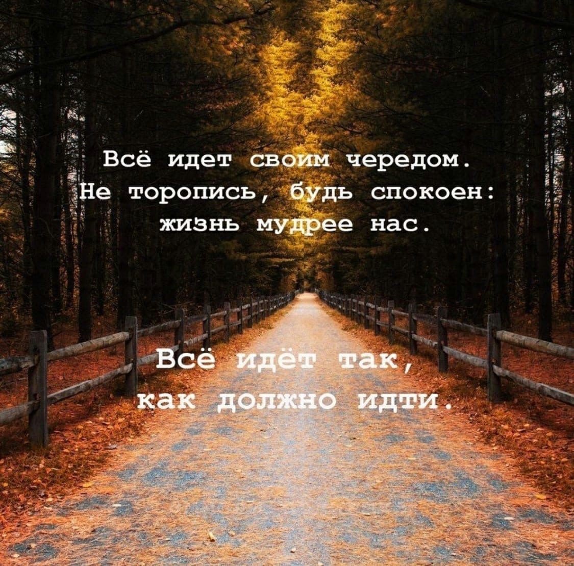 Жизнь идет своим чередом