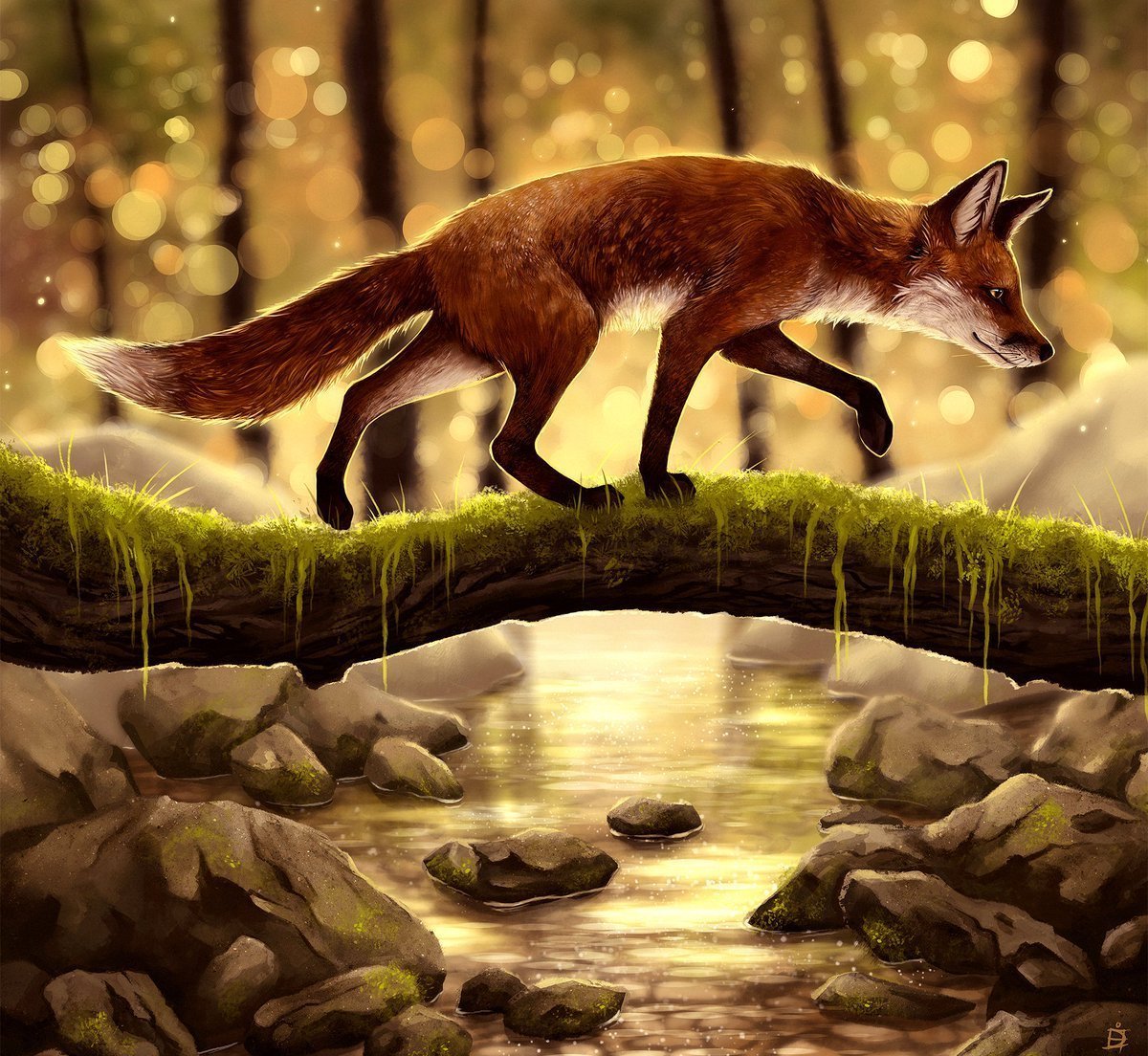 Крадущаяся лиса