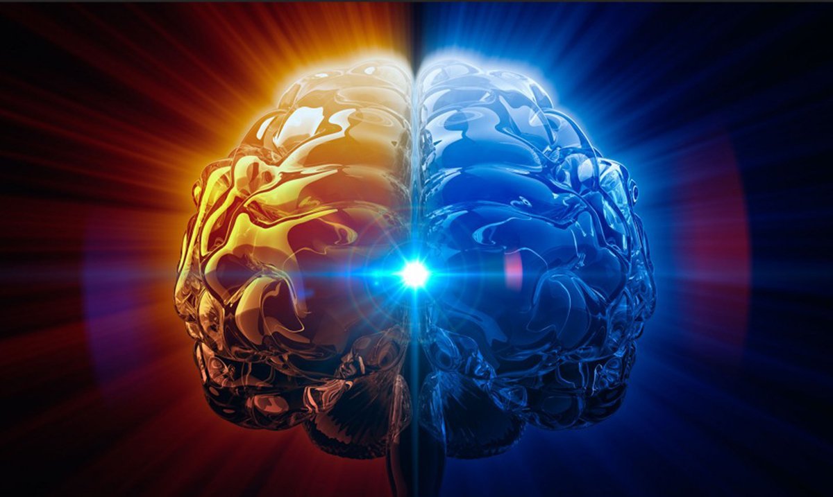 Креативные дизайнерские обои