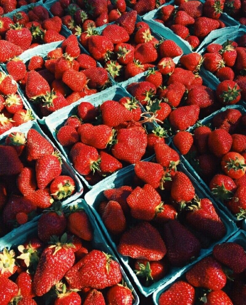 Клубника Эстетика