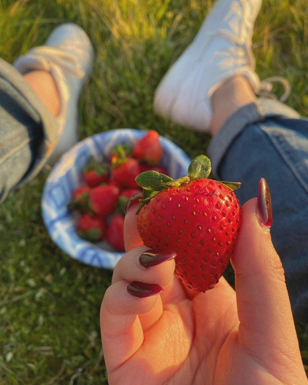 Клубника Эстетика