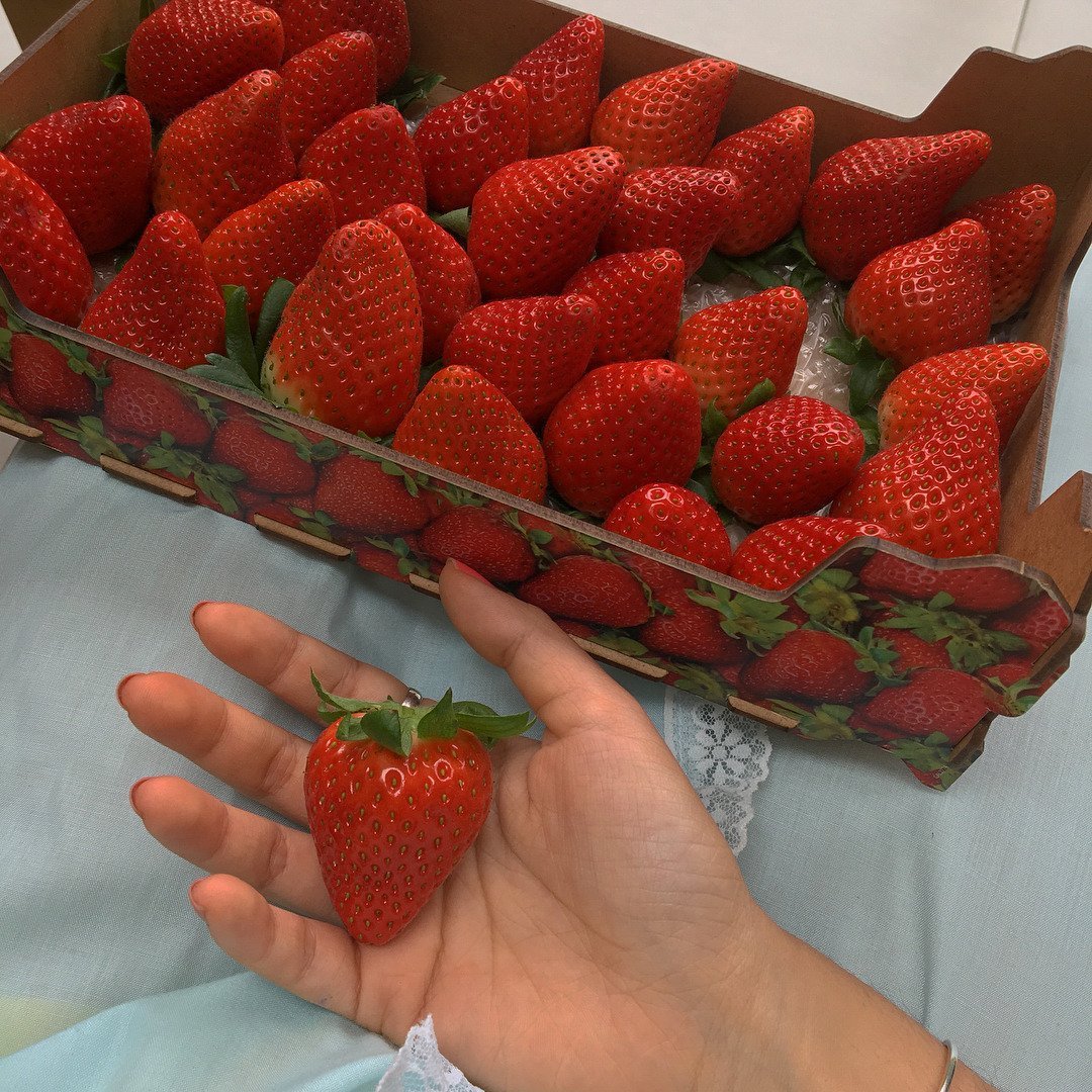 Клубника Эстетика