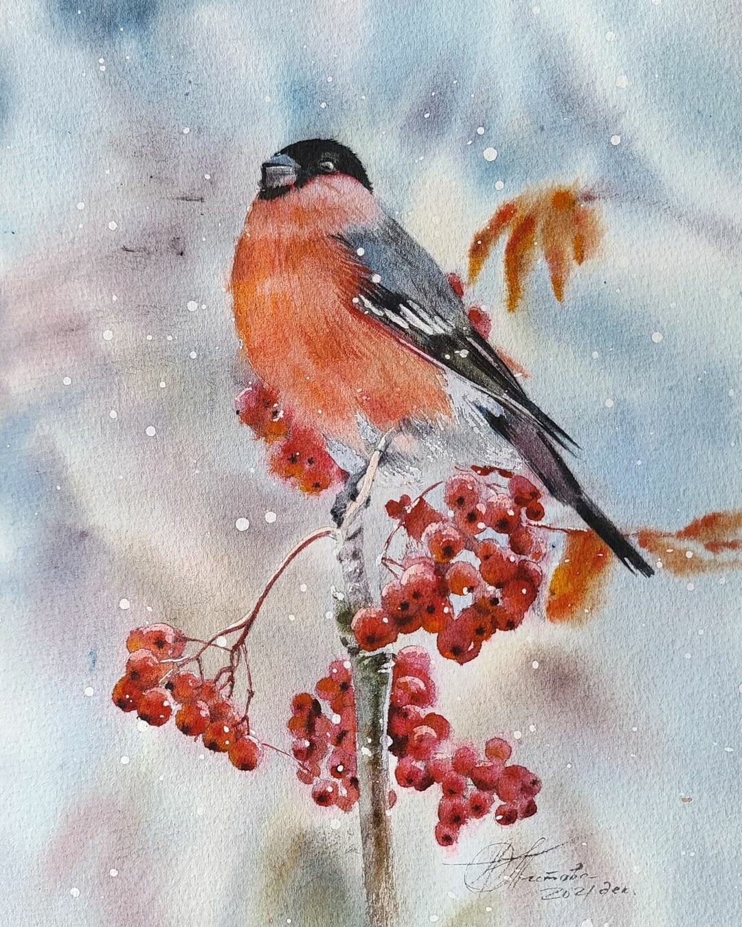 Снегирь на веточке рябины