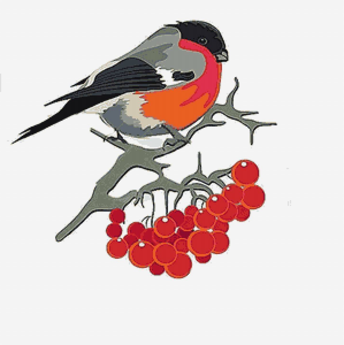 Снегирь на веточке рябины