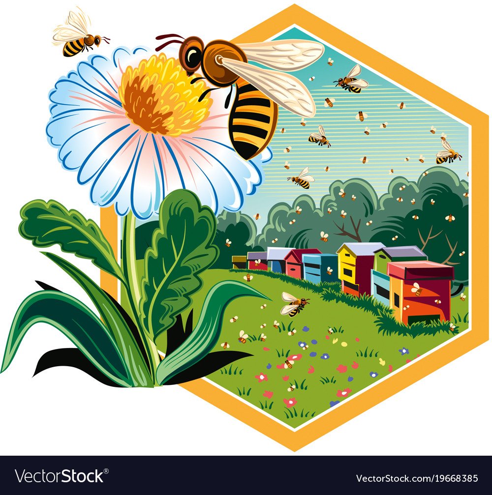 Фон пасека для детей