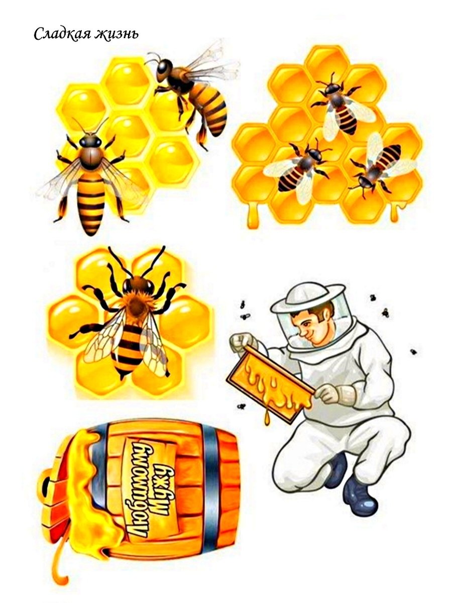 Пчела для печати