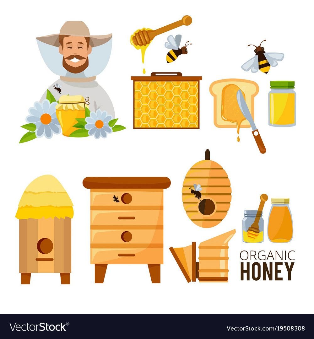 Пчеловод на прозрачном фоне