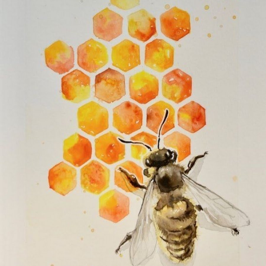 Соты акварель