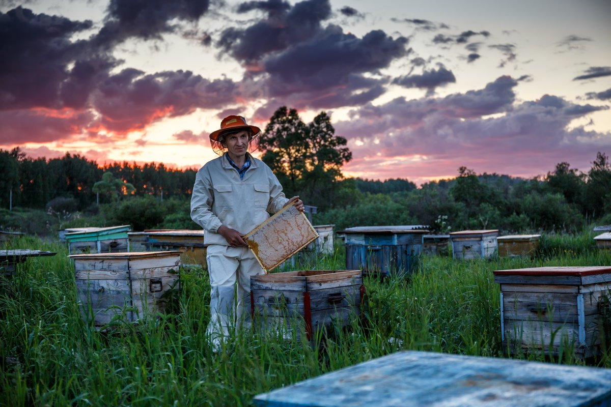 Столик на пасеке