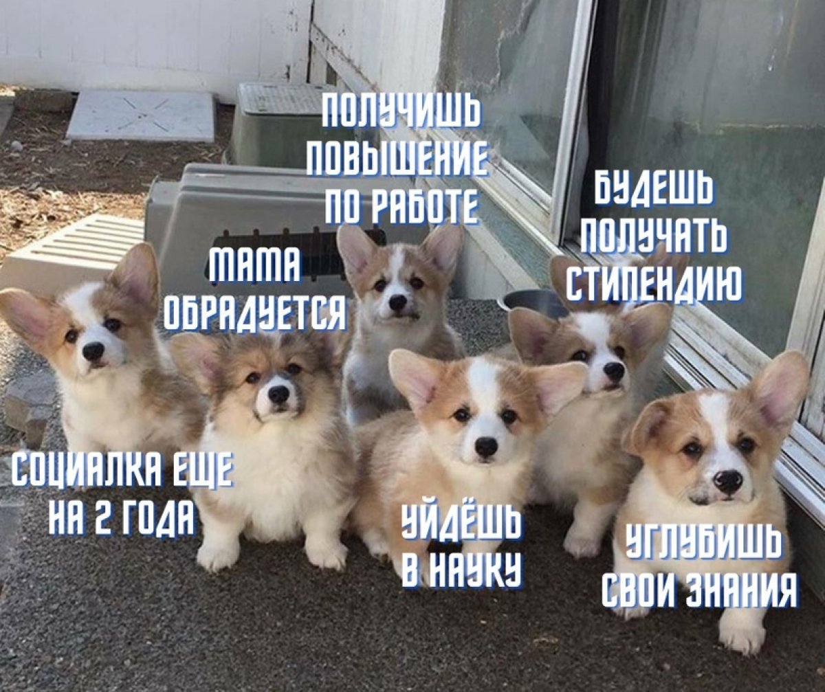 Непереживпй все будет хорошо