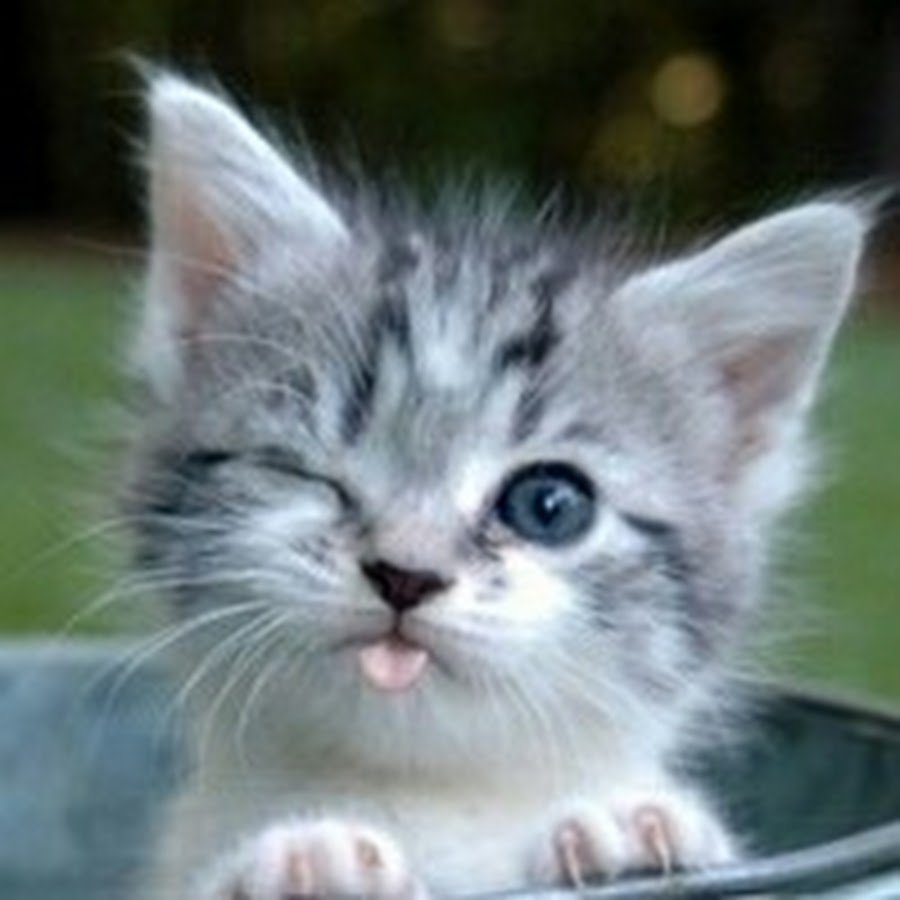 Любопытная женщина