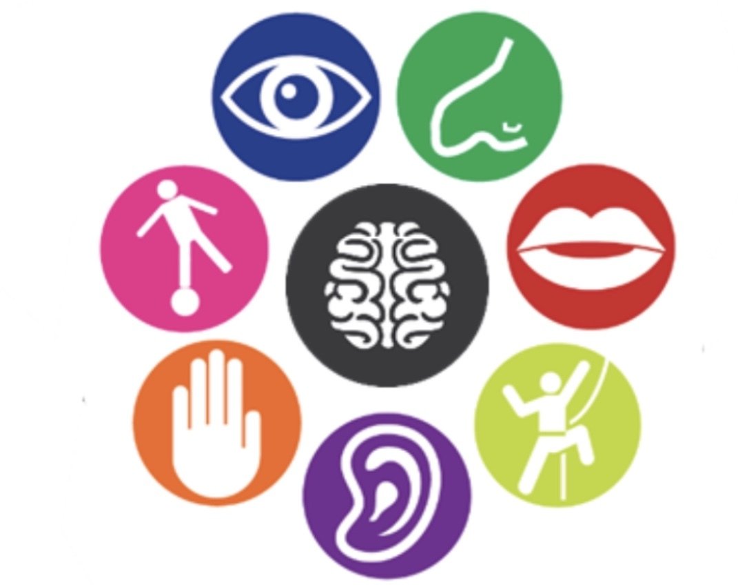 Сенсорная интеграция