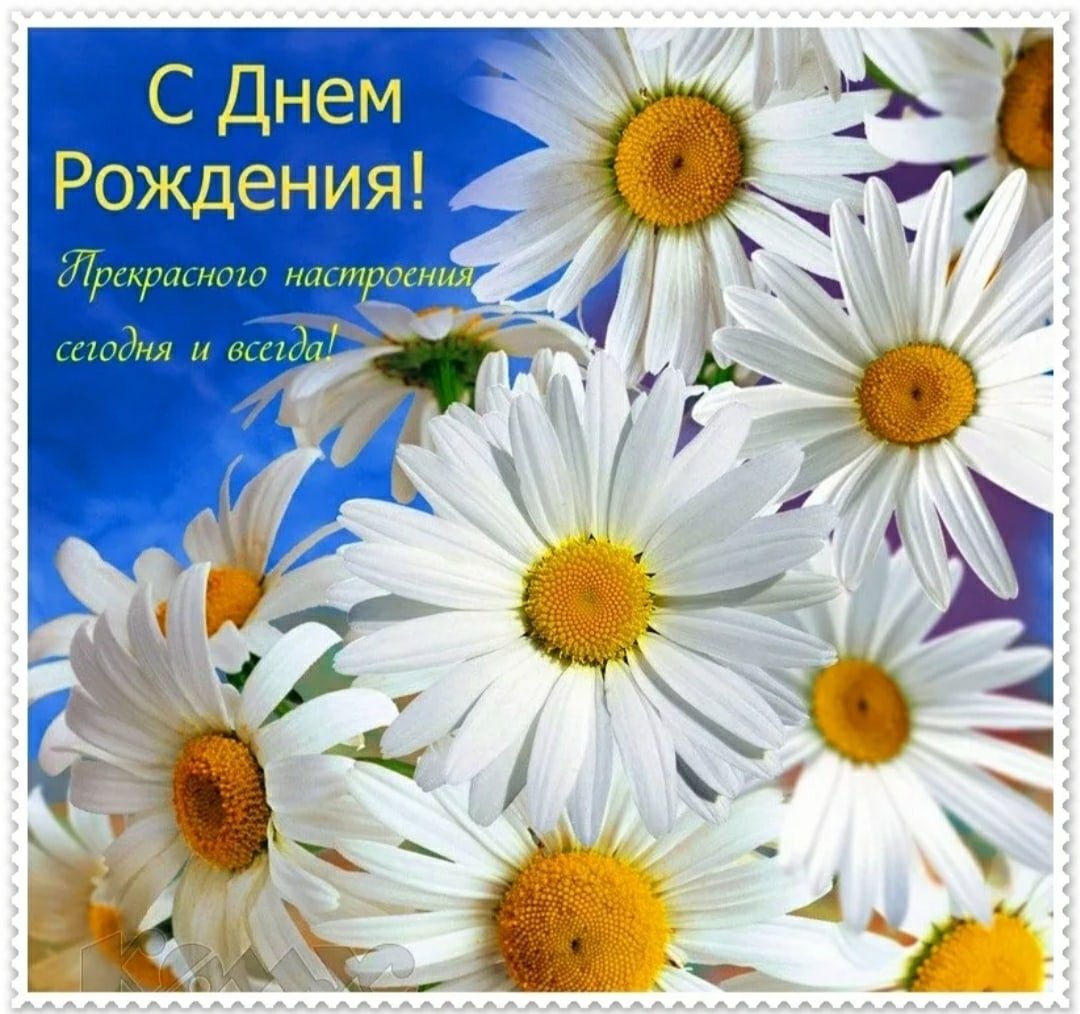 Самые красивые пожелания