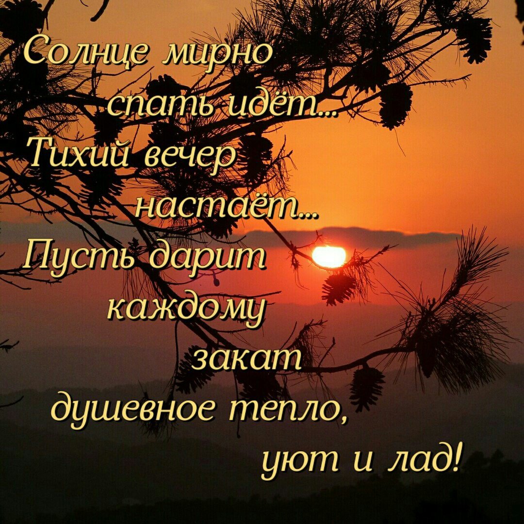 Пожелания спокойной ночи