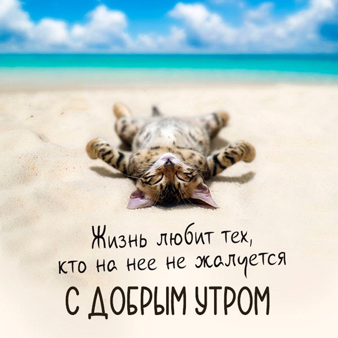 Картина я в отпуске не беспокоить