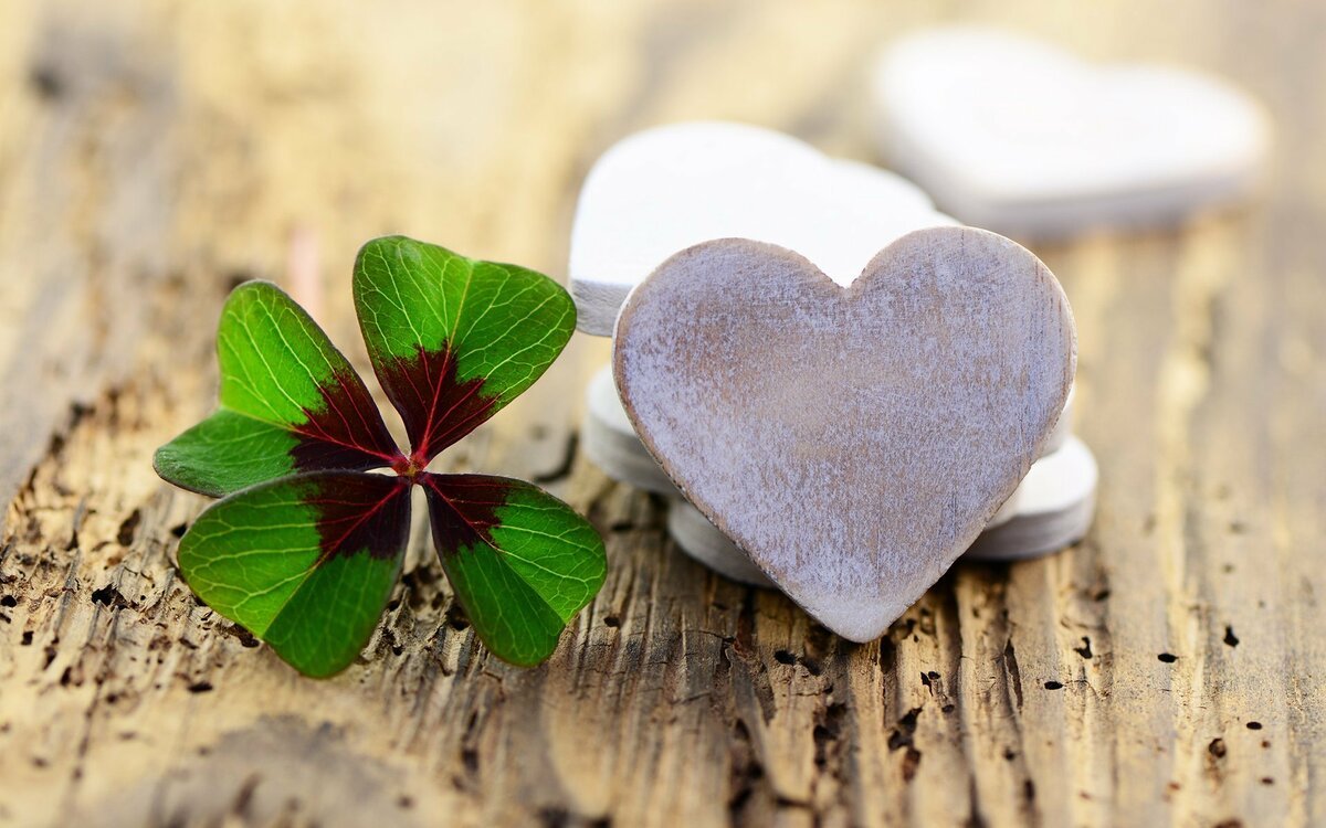 Ирландский Клевер четырехлистный