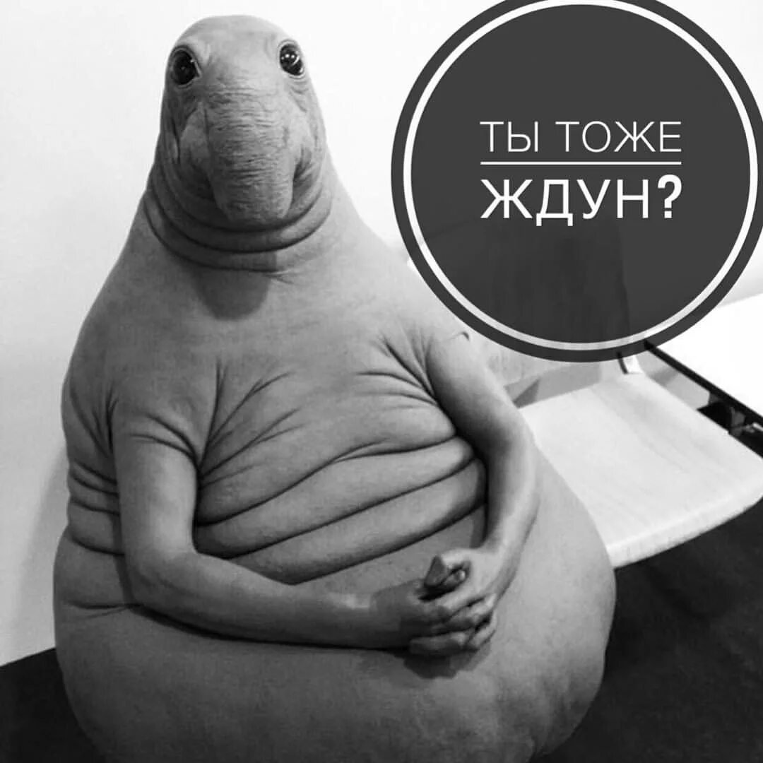 Homunculus Loxodontus голландской художницы Маргрит Ван Бреворт