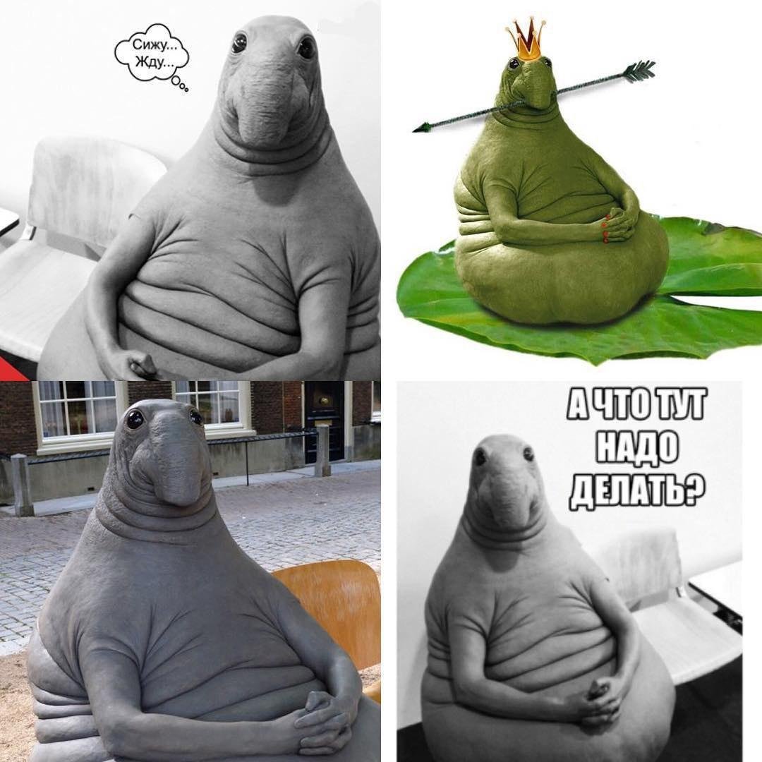 Ждун приколы