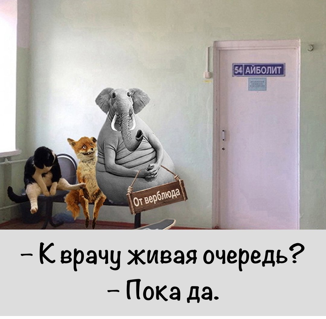 Ждун в машине