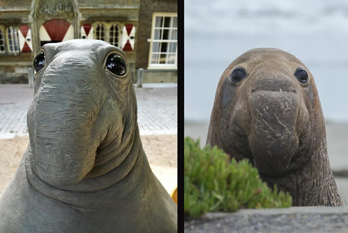 Ждун с волосами